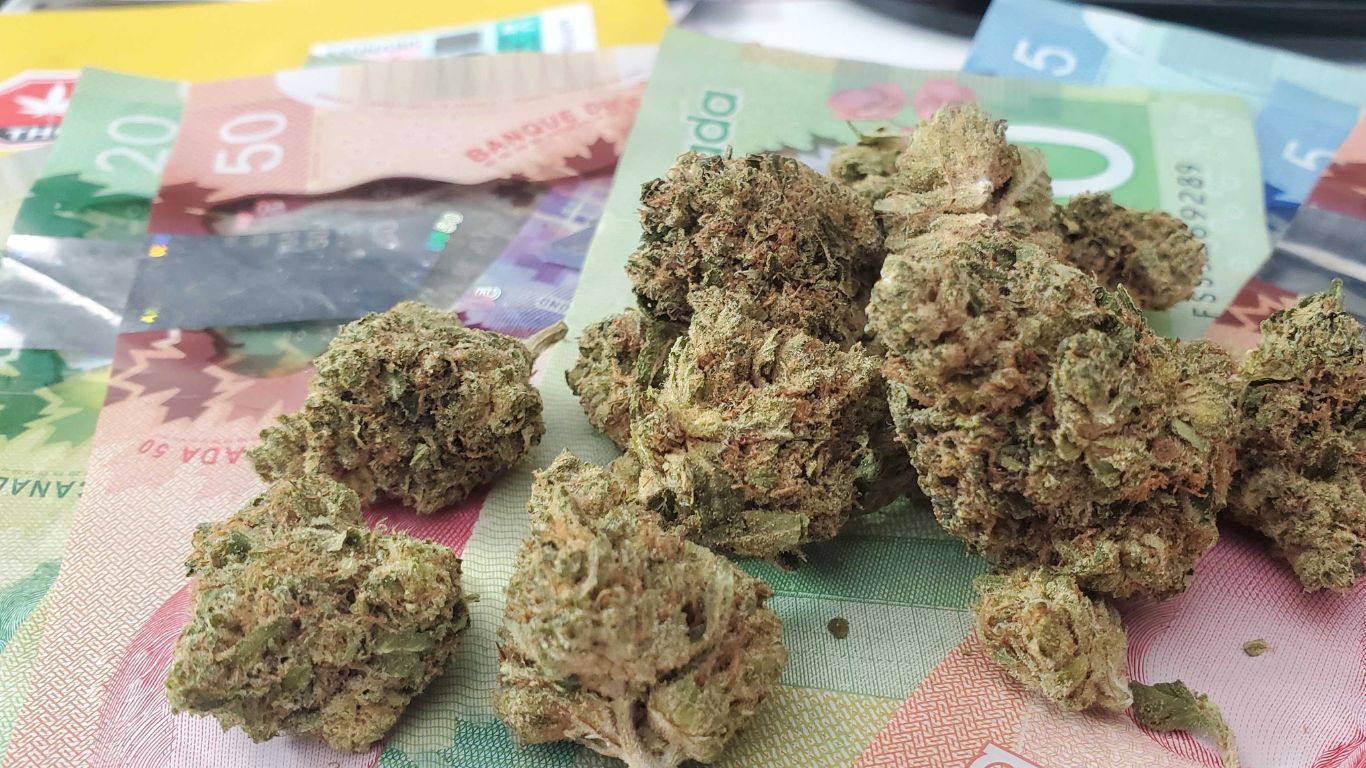 Two of every five dollars spent on legal cannabis in Canada went to government coffers