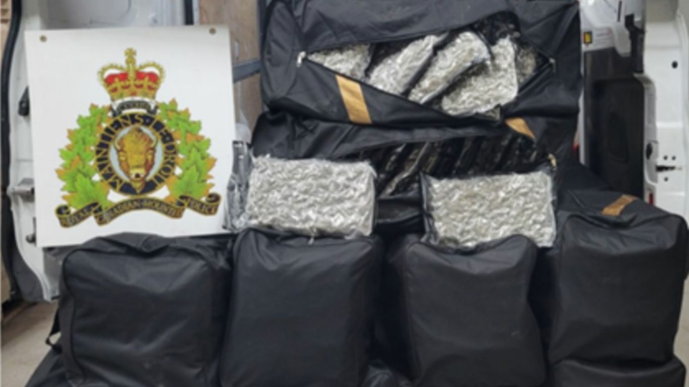 More than 200 kilograms of cannabis seized in targeted investigation in Ontario border town