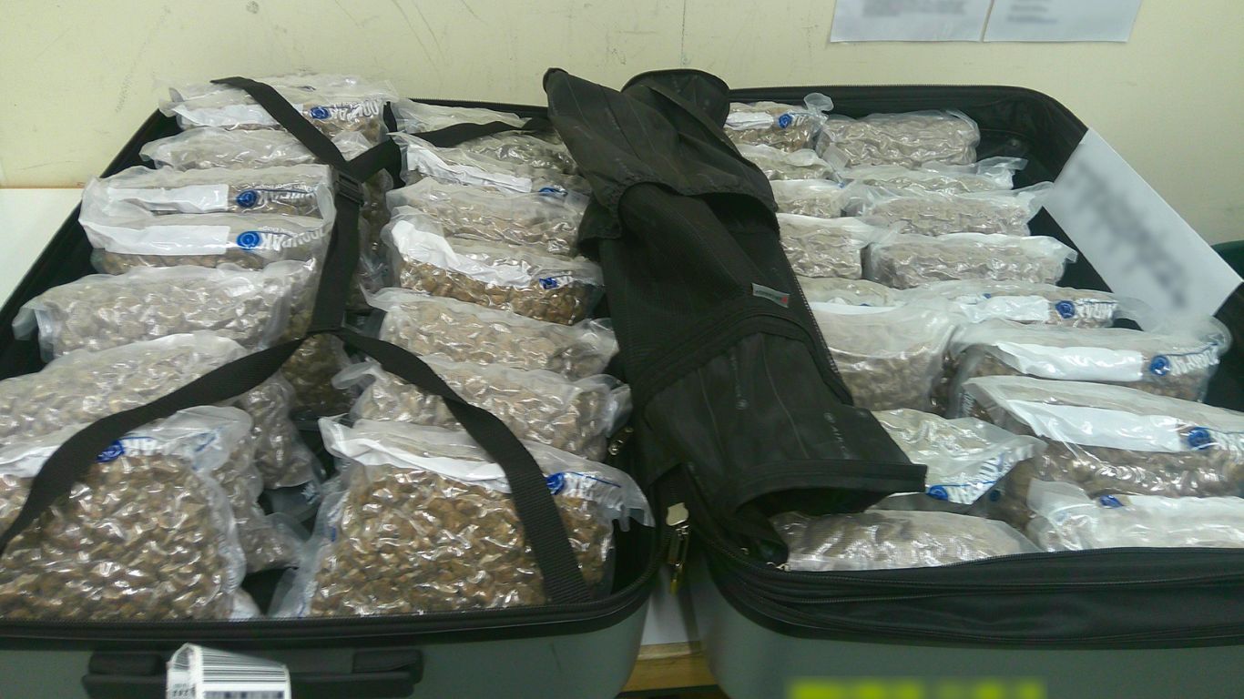 CBSA seizes 40 kg of cannabis destined for UK