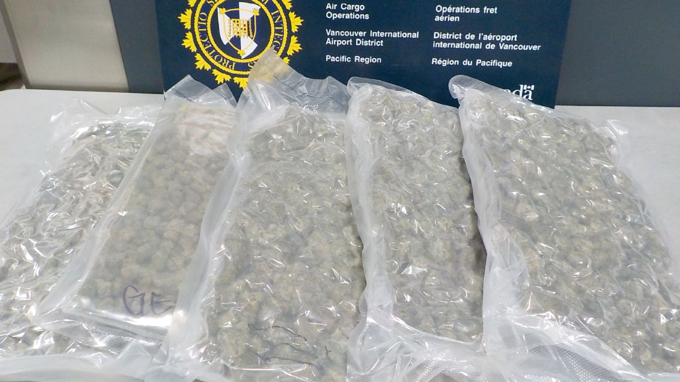 CBSA has seized thousands of kilograms of cannabis in the first half of 2024-2025