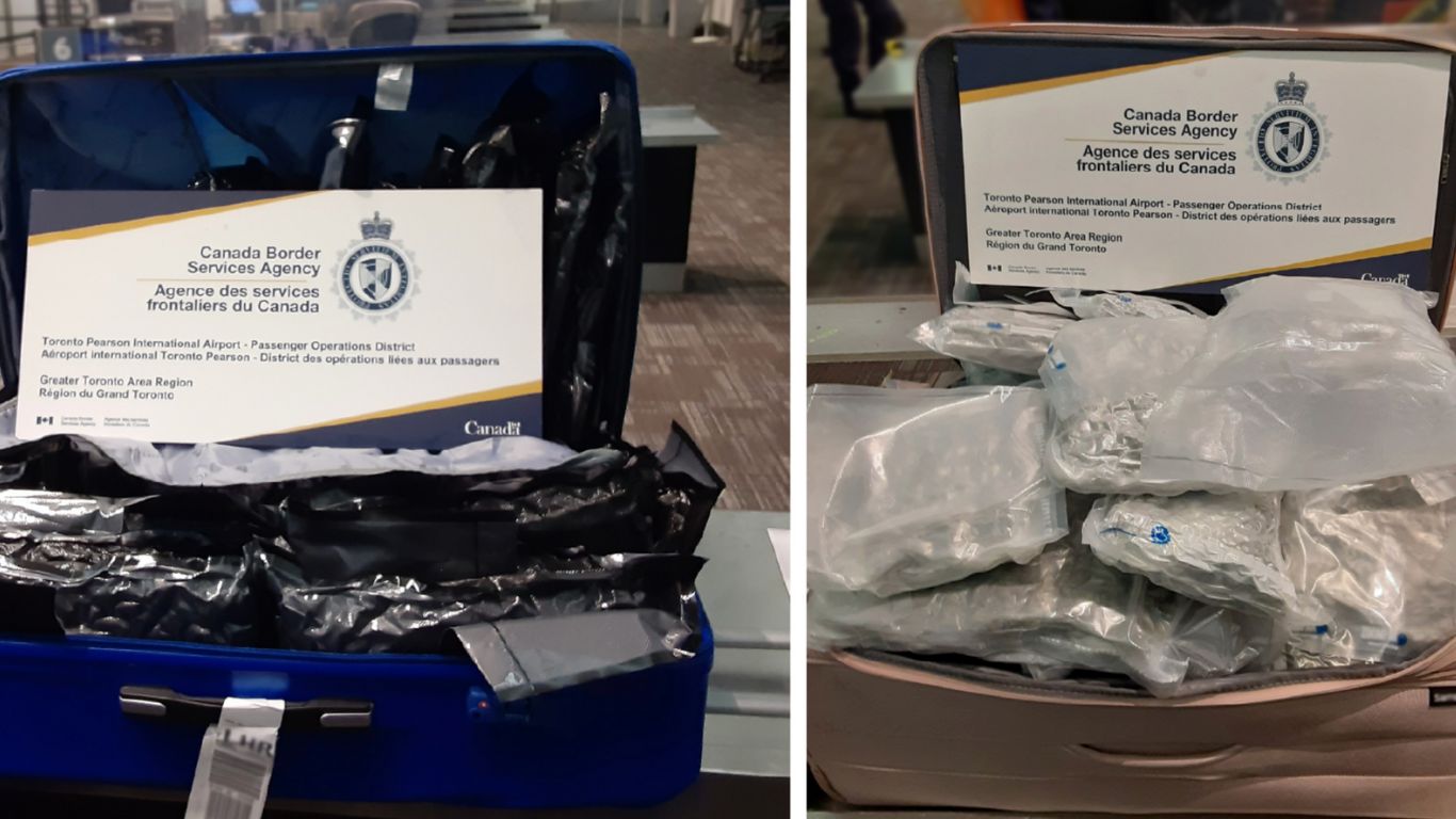 CBSA again seize large quantity of cannabis destined for UK