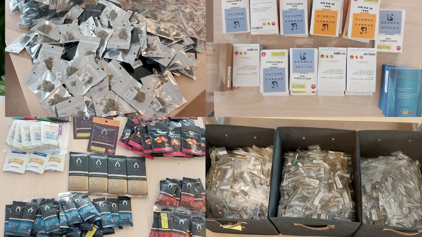 Kingston police seize large quantity of cannabis from unlicensed store