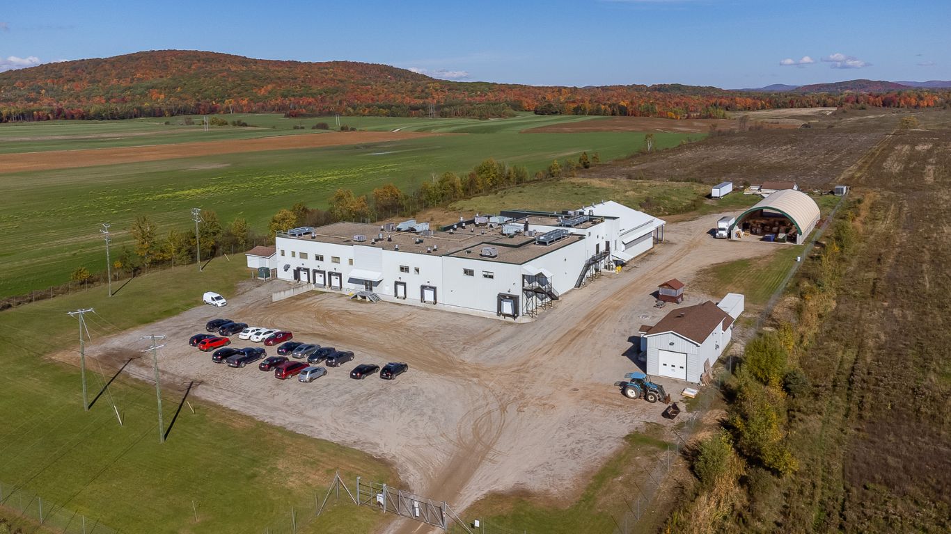 photo of Quebec cannabis business facing excise challenges image