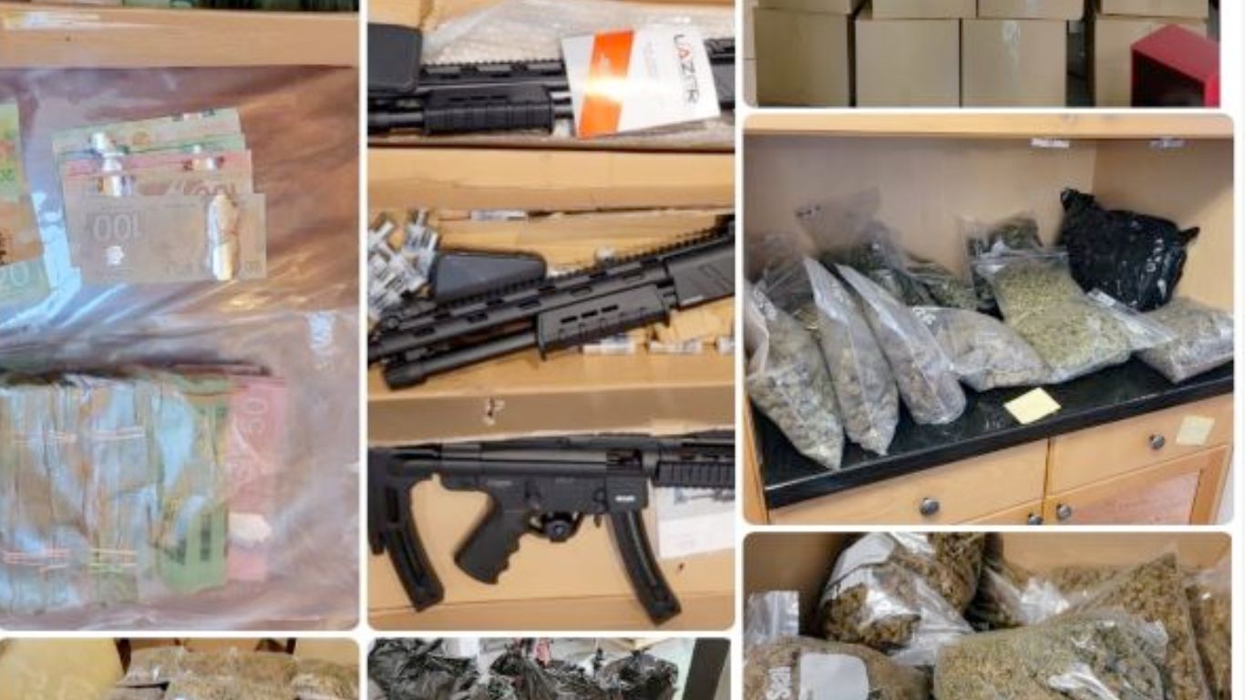 Surrey RCMP dismantle a large illicit cannabis distribution group, seize 700 pounds of illicit cannabis, guns, psilocybin