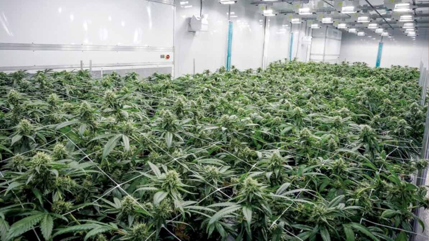 MediPharm plans to sell ABcann facility to Kensana Health in cash deal