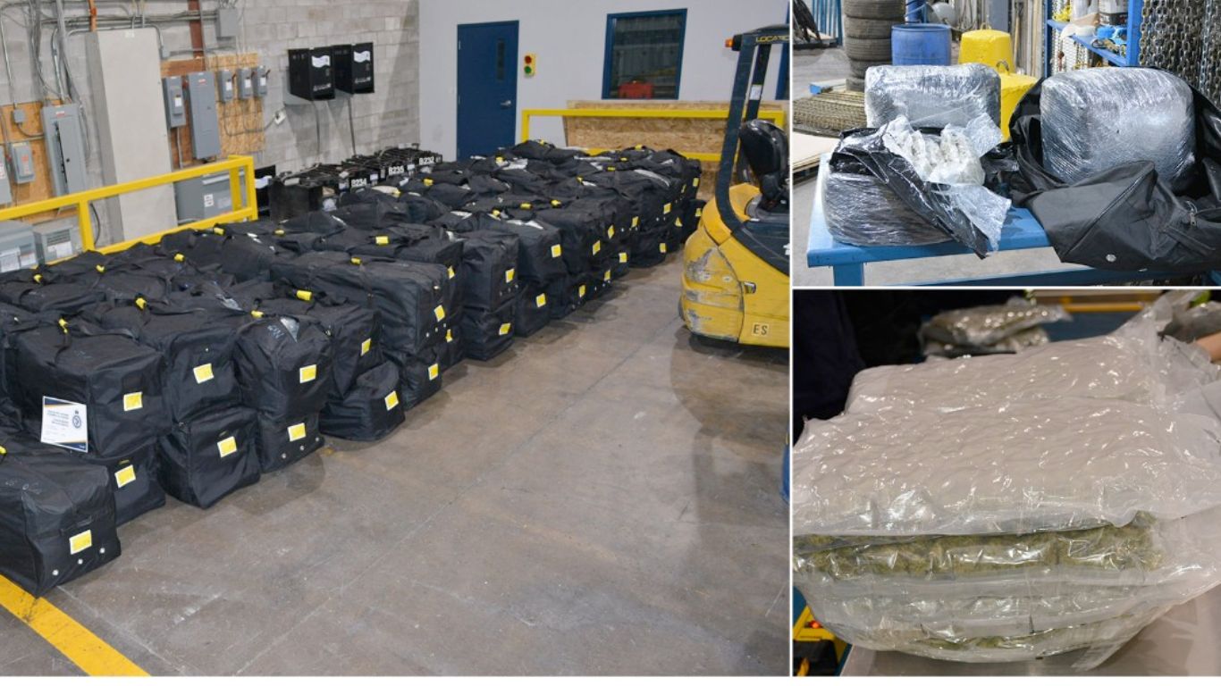 CBSA seize cannabis en route to Nigeria