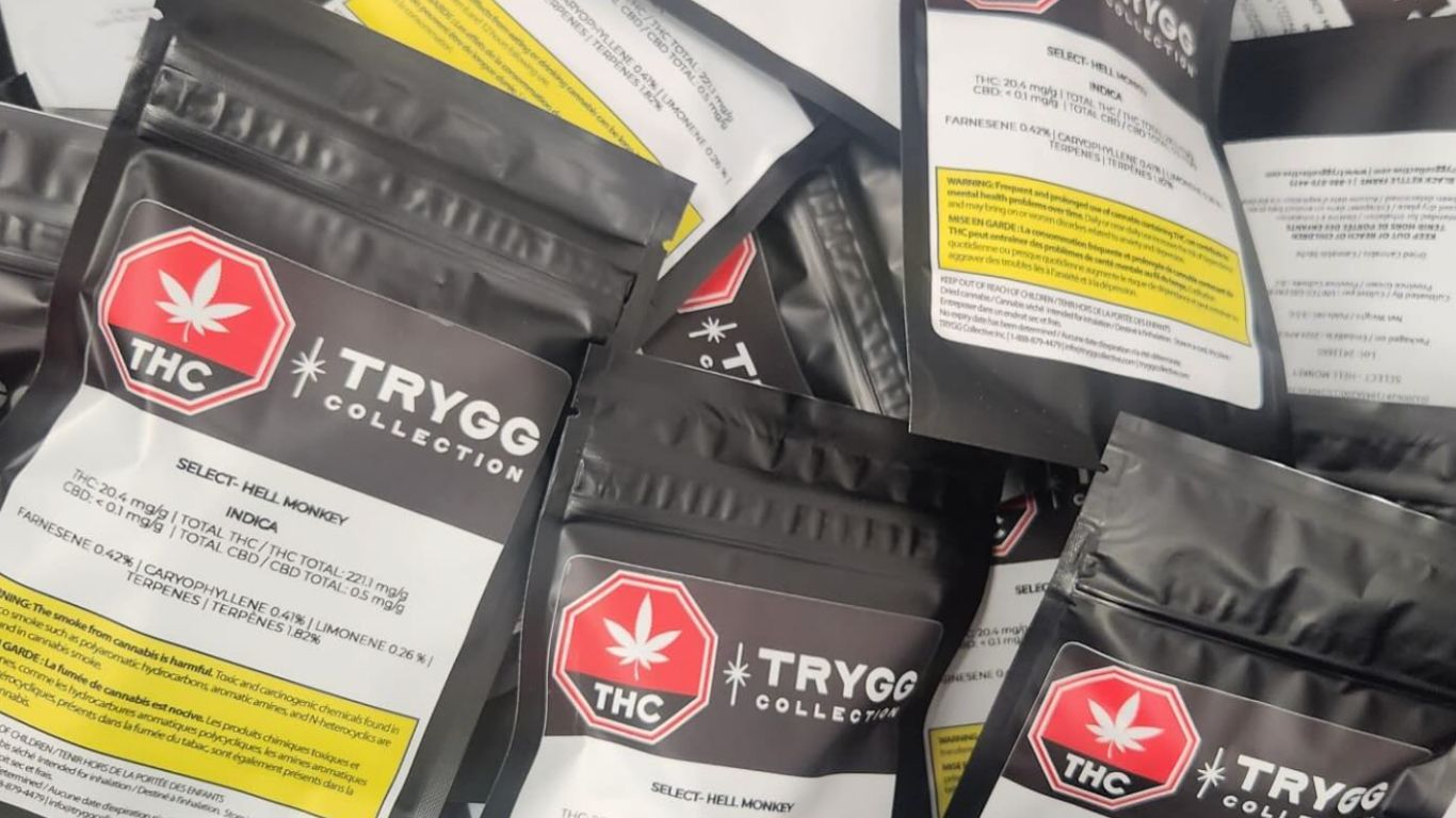 TRYGG Collective acquires Tricanna Industries through RVO