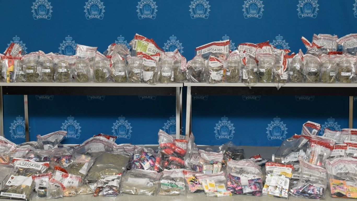 Brantford Police shut down illegal dispensary