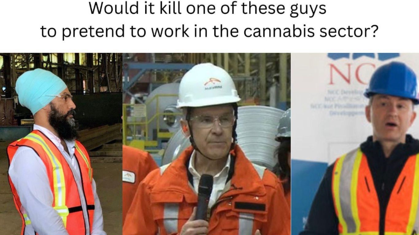 photo of Oh Cannabis, why not Canada first?  image